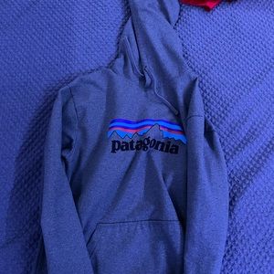 Patagonia Men’s Hoodie